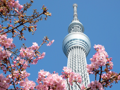 ����Υ��᡼��