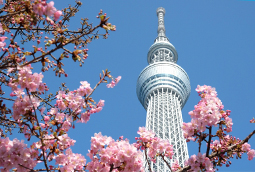 東京のイメージ